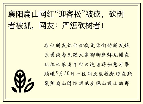 襄阳扁山网红“迎客松”被砍，砍树者被抓，网友：严惩砍树者！